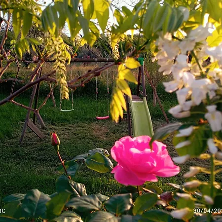 Bed & Breakfast Maison Sowilo Prechacq-Josbaig