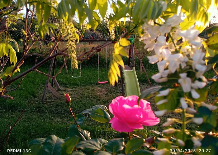 B&B Maison Sowilo Prechacq-Josbaig